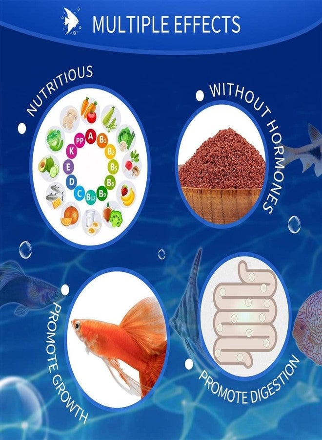 VAYINATO® WA Nutrina Guppy Slow Sinking Granules Fish Food, 25G (Pack of 2) by Petzlifeworld - Image 3